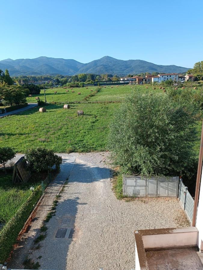 Casa Degli Aromi Lägenhet Lucca Exteriör bild