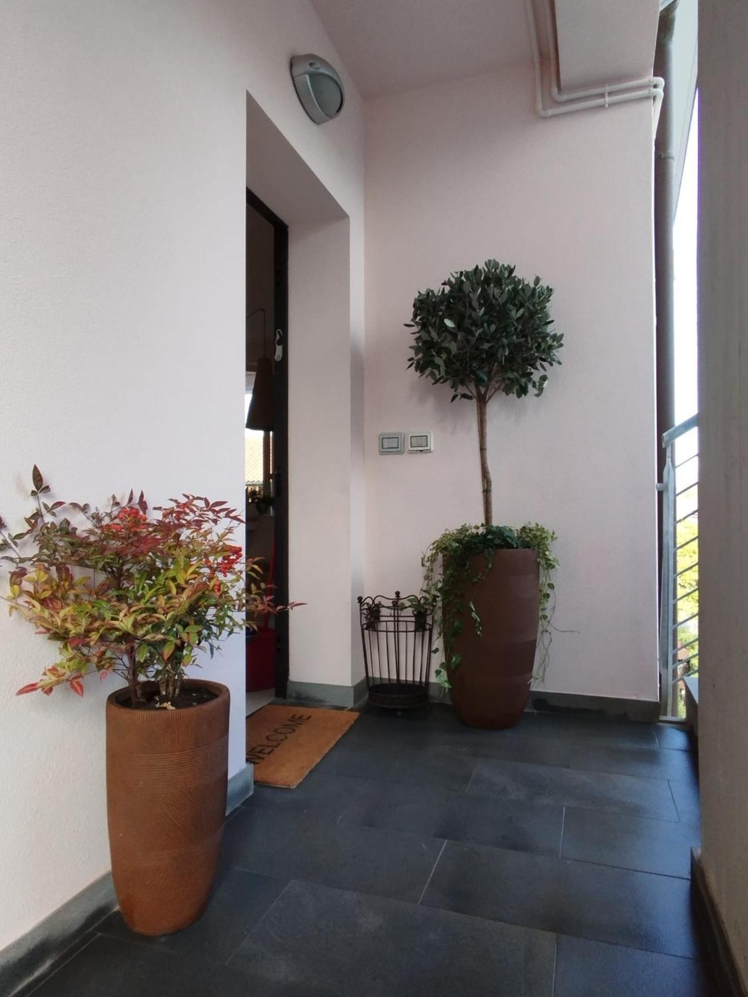 Casa Degli Aromi Lägenhet Lucca Exteriör bild